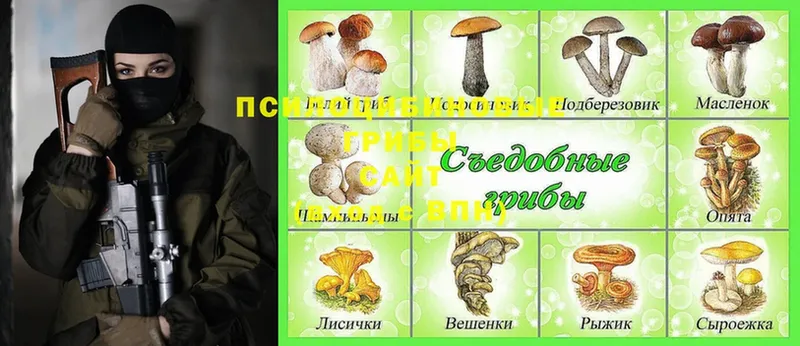 Псилоцибиновые грибы Cubensis  магазин продажи   Бузулук 